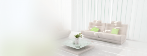 Professional Cleaning Services in Atlanta